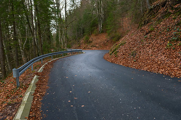 Image showing Road in autumn forest landscape