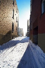 Image showing Sunlight after the snowstorm