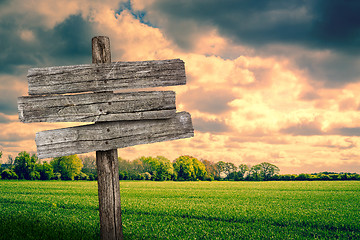 Image showing Wooden sign on a green field