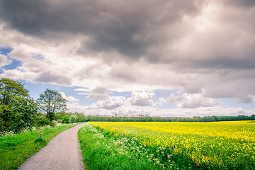 Image showing Landscape with a path