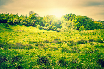 Image showing Countryside landscape with sunshine