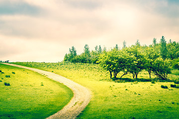 Image showing Path on a green field