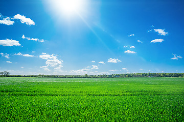 Image showing Countryside field with sunshine