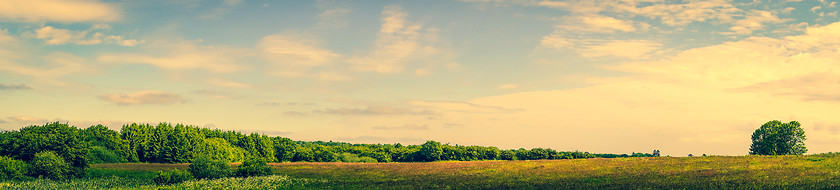 Image showing Prairie landscape with green trees