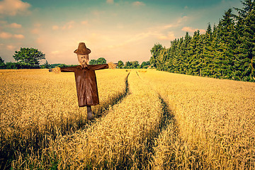 Image showing Scarecrow on a golden field