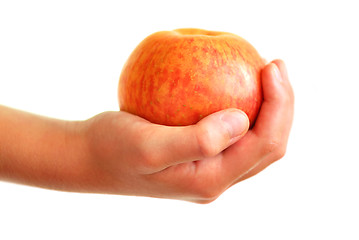 Image showing Apple in hand