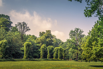 Image showing Park with various green trees