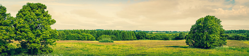 Image showing Green trees in panorama scenery