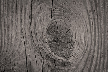 Image showing Wood background closeup with textures