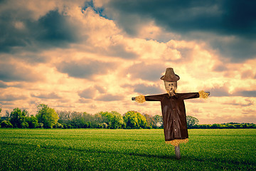 Image showing Scarecrow on a green field