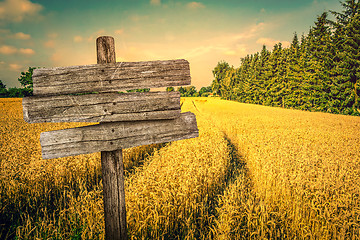 Image showing Golden crop field scenery