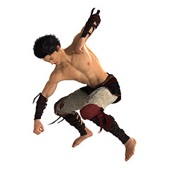 Image showing Fighting Monk