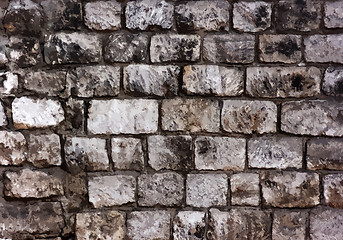 Image showing Brick wall detail texture