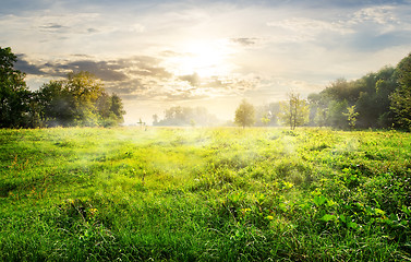 Image showing Green meadow at sunrise