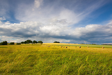 Image showing Summer landscape after a storm