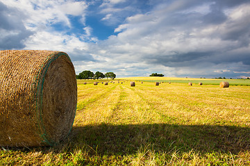 Image showing Summer landscape after a storm