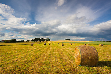 Image showing Summer landscape after a storm