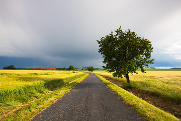 Image showing Empty road and landscape after heavy storm
