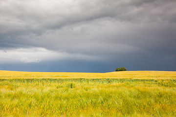 Image showing Summer landscape before heavy storm