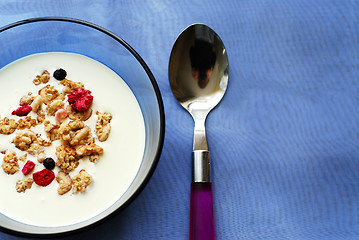 Image showing Breakfast cereal