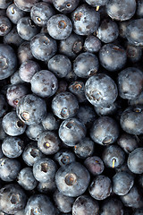 Image showing Blueberries