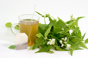 Image showing  Fresh Tea