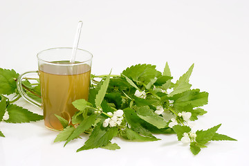 Image showing Fresh Tea