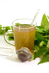 Image showing Glass of herbal tea