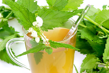 Image showing Stinging nettle