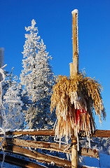 Image showing Christmas, Norway I.