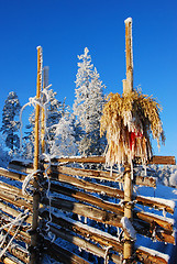 Image showing Christmas, Norway II.