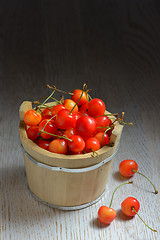 Image showing Cherries