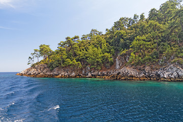 Image showing Green island