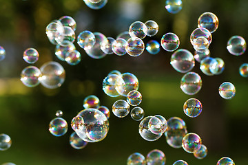 Image showing Soap bubbles