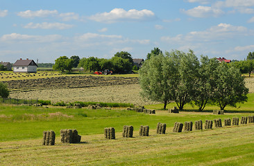 Image showing rural landscape