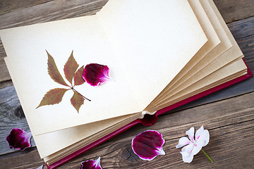 Image showing open book with herbarium leaves and petals of geraniums on the p