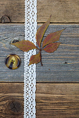 Image showing tape lace, button and herbarium