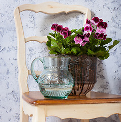 Image showing geranium and a jug with water