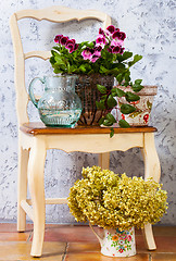 Image showing pelargonium, fuchsia and hydrangea