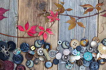 Image showing vintage buttons with dried branches and red leaves