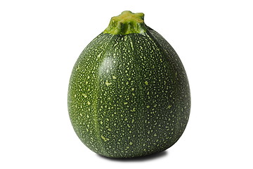 Image showing Round zucchini