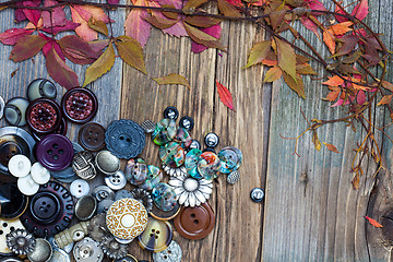 Image showing vintage buttons and dried plants