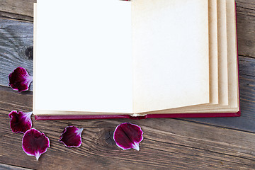 Image showing open book with geranium petals