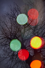 Image showing abstract tree with lights and double exposure