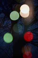 Image showing abstract tree with lights and double exposure