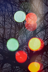 Image showing abstract tree with lights and double exposure