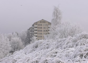 Image showing Winter in Norway