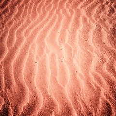 Image showing Beach with soft sand