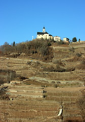 Image showing Church and vineyard