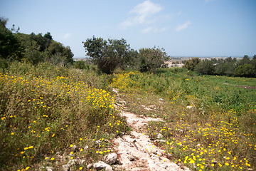 Image showing Spring season landscape